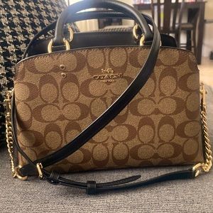 Coach lillie carryall in the color signature , brand new . No signs of wear